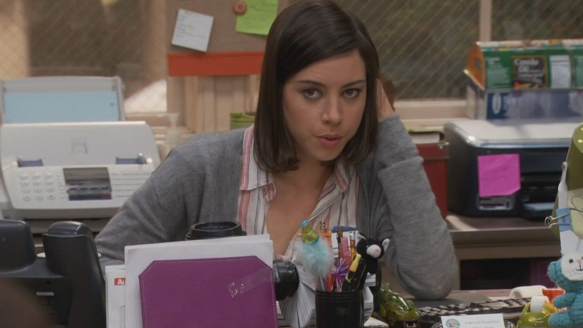 Watch Parks And Recreation Season Online Ifc