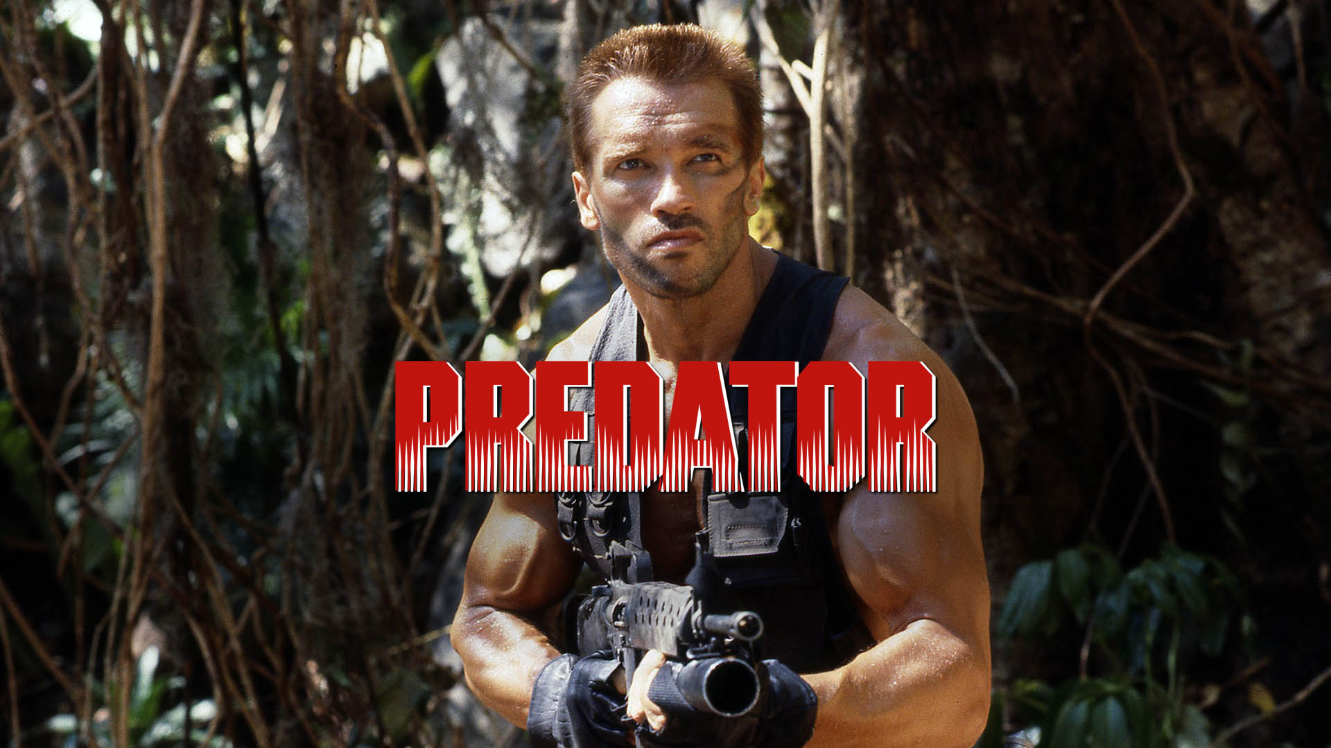 Predator