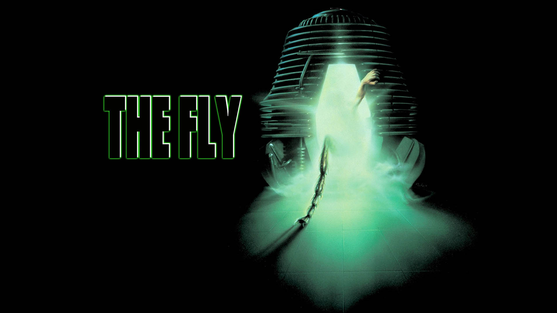 The Fly