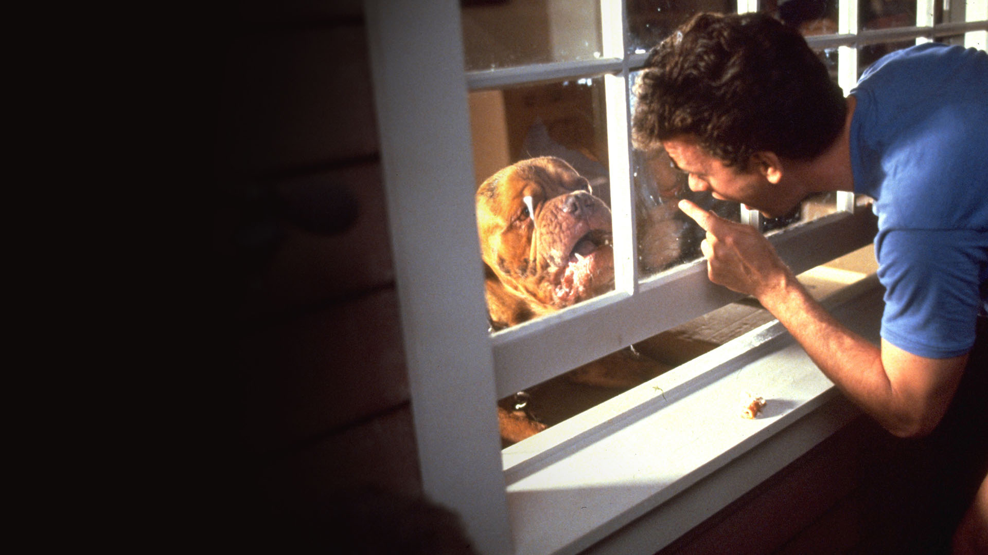 Turner & Hooch