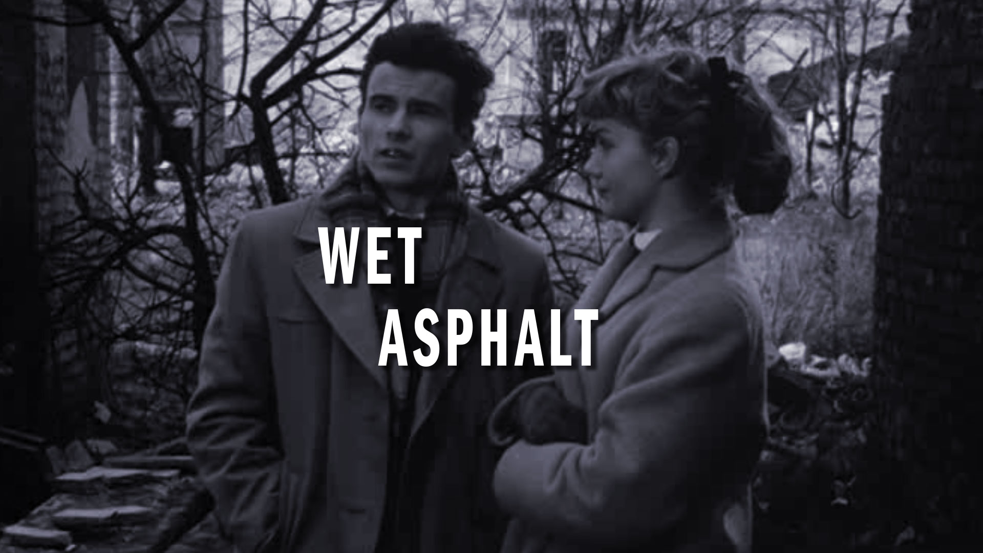 Wet Asphalt