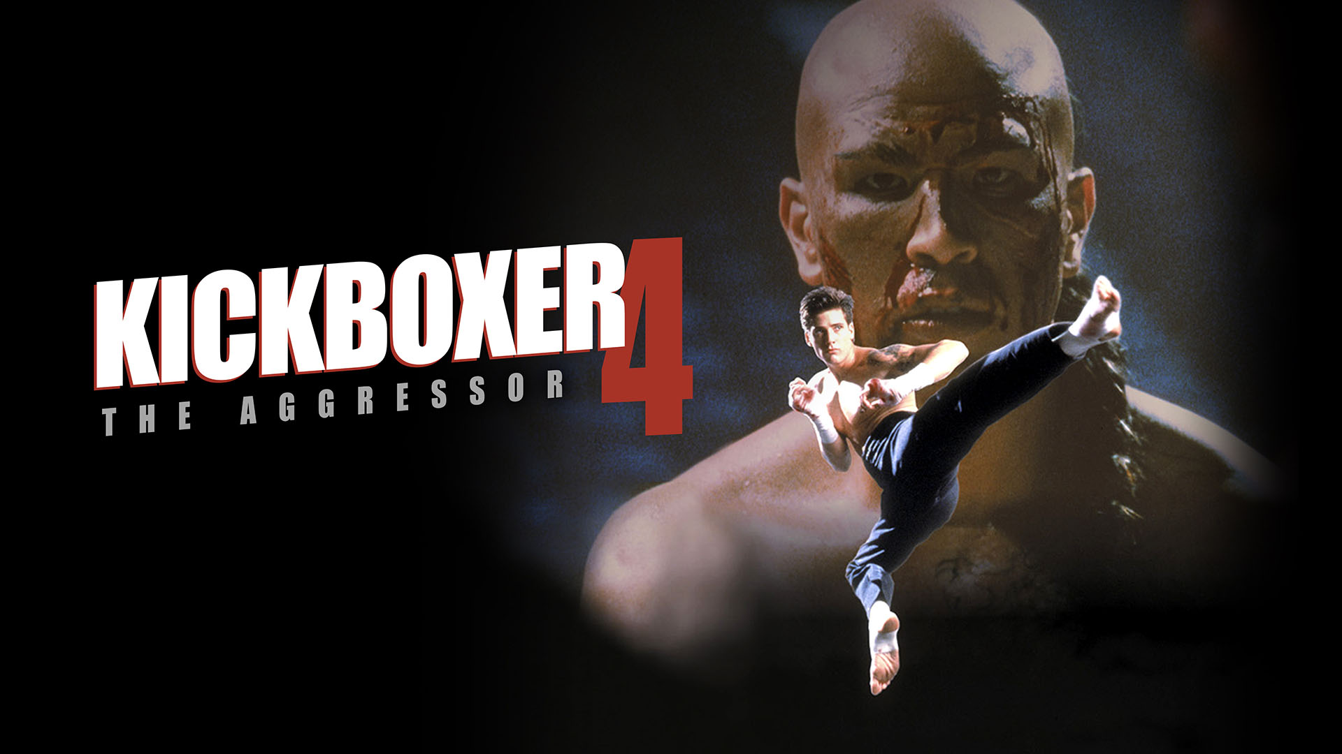 Watch Kickboxer 4: The Aggressor Online | Stream Full Movies