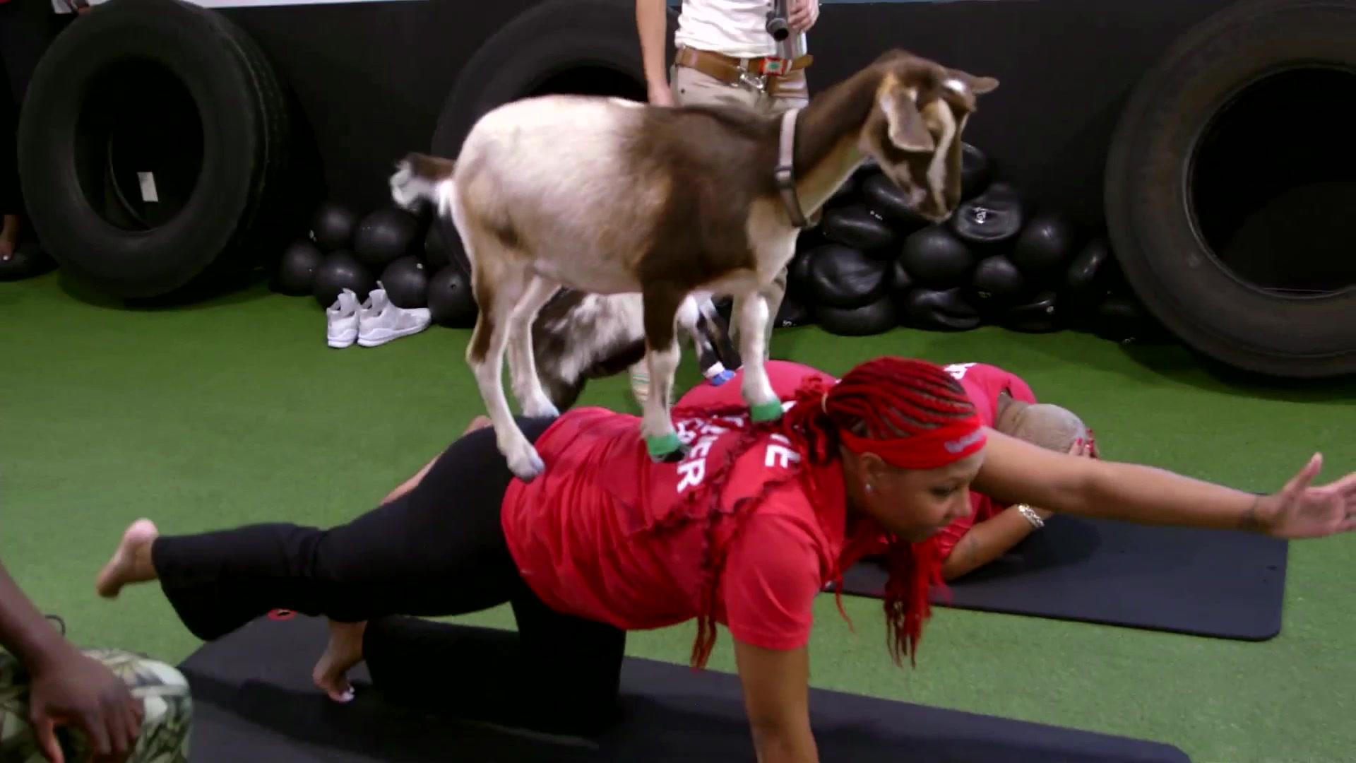 Did Traci Get Violated by a Goat?!?