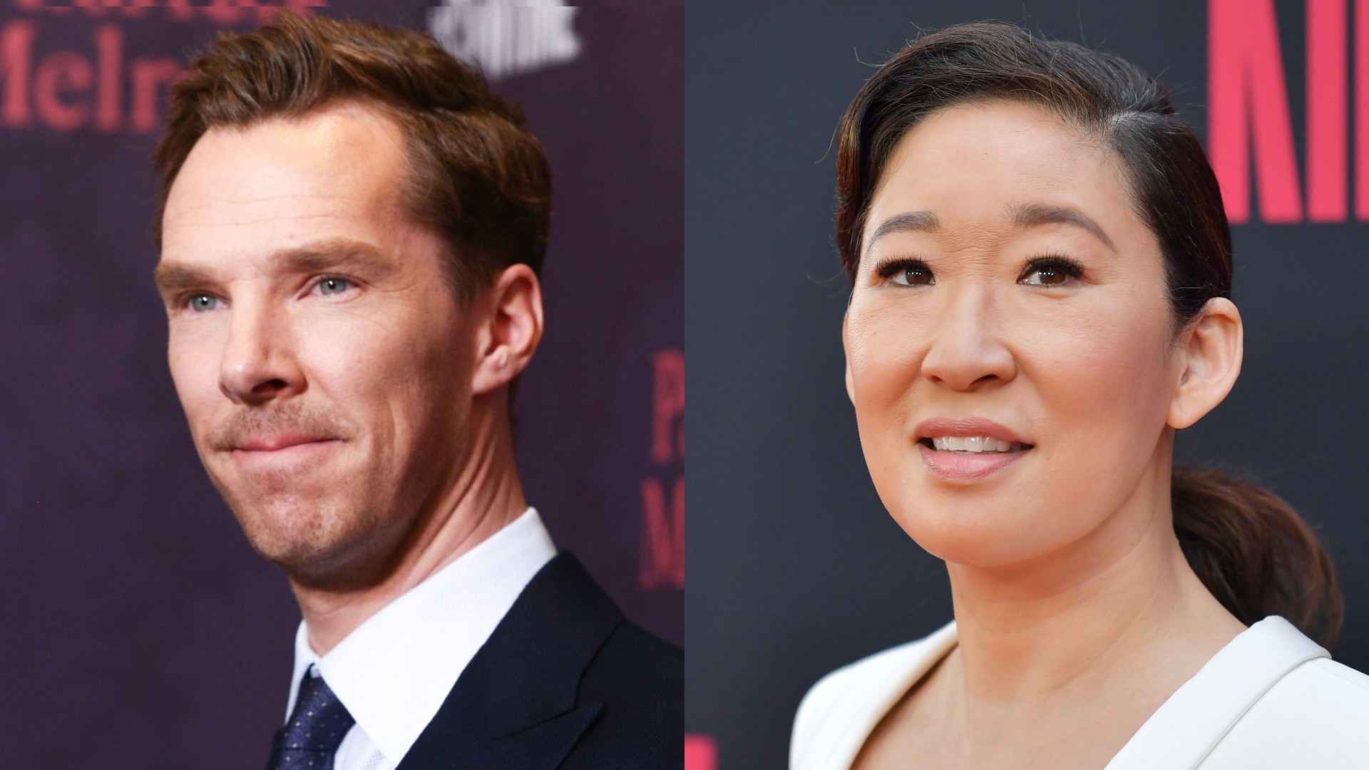 10 Great Actors Who Narrated Nature Documentaries: From Benedict Cumberbatch to Sandra Oh