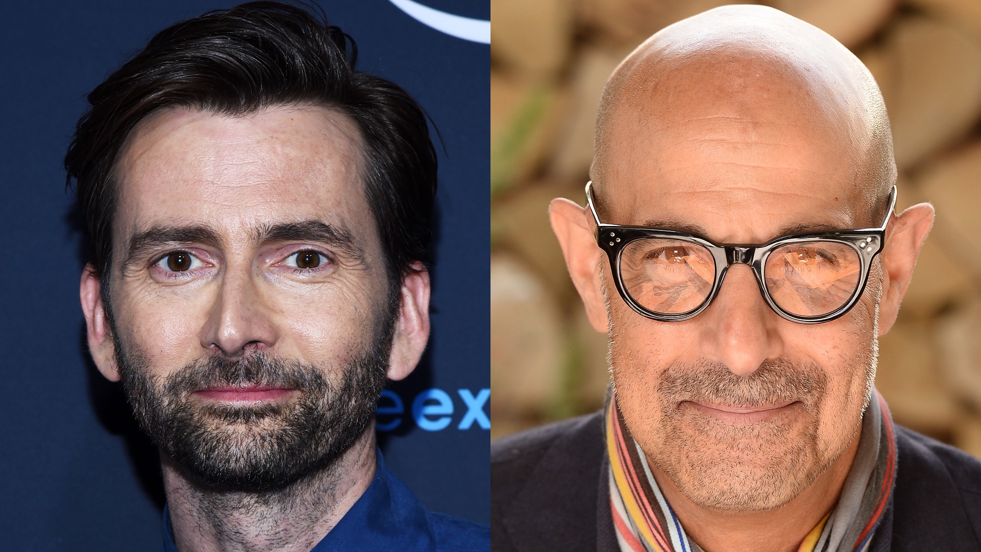 Casting News: David Tennant, Stanley Tucci, Lydia West, and Dolly Wells to Star in Steven Moffat's 'Inside Man'