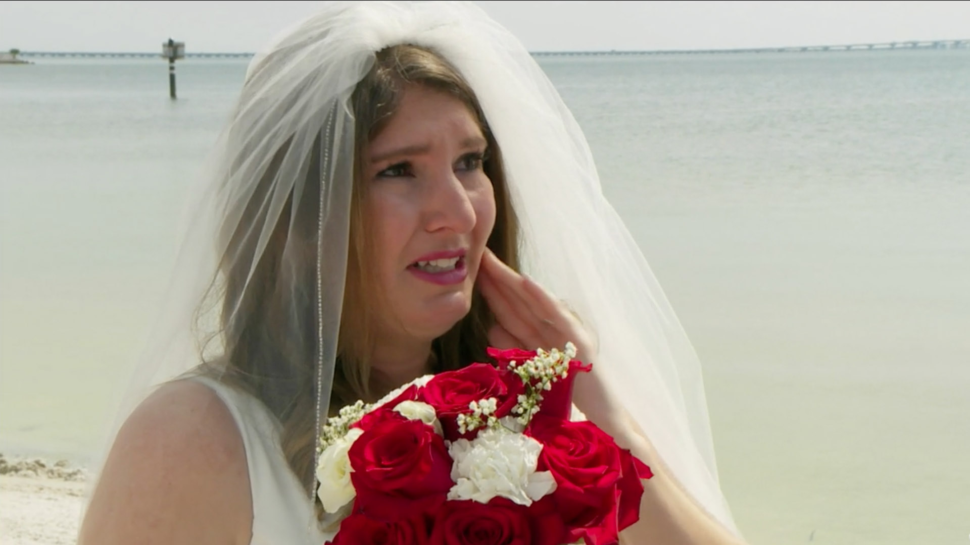 You Won't Believe Where These Couples Found Love!