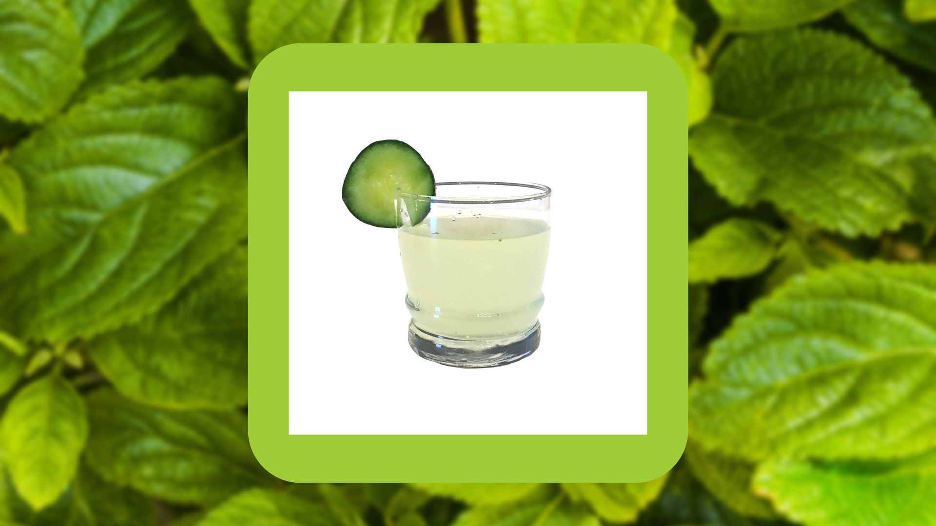 Hip Hop Happy Hour Mint to Be The Spotlight WE tv