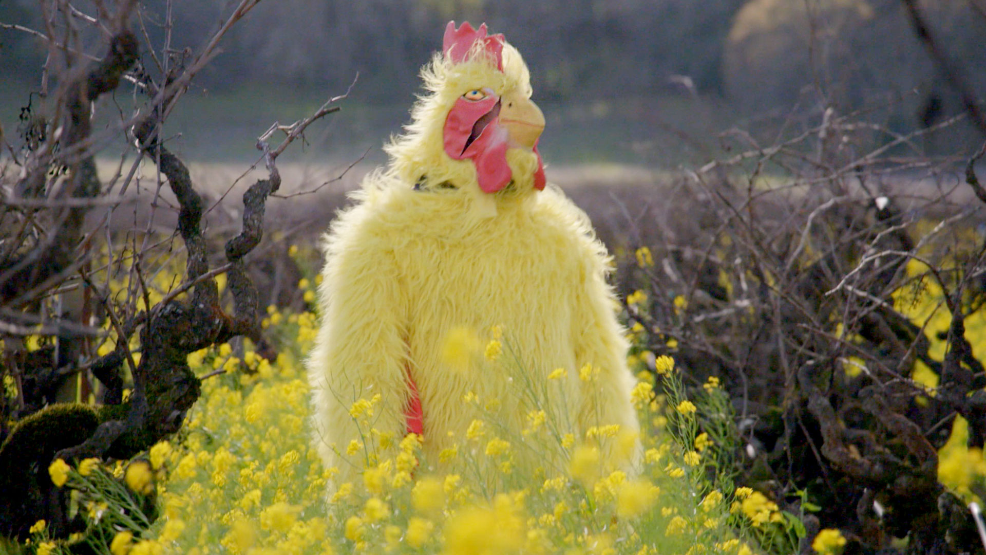 Ride With Norman Reedus Season 5 Bonus Scene: The Chicken Suit