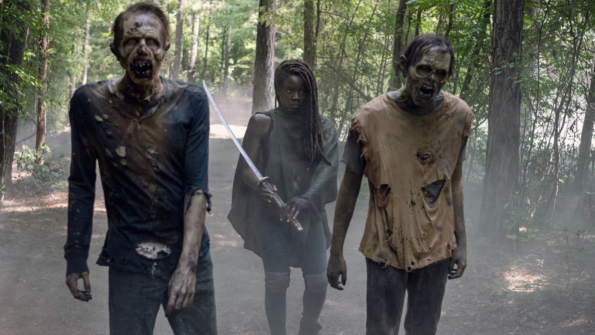 Watch The Walking Dead Season 10 Episode 13 | Stream Full Episodes