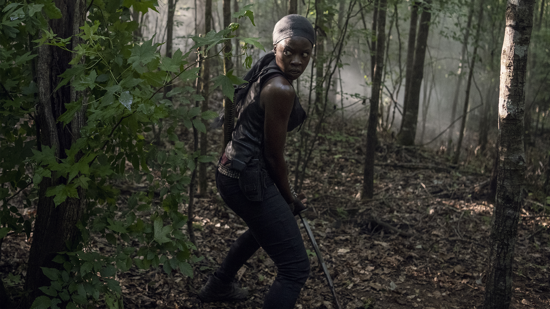 Watch The Walking Dead Episode Diaries Season 10 Episode 13 | Stream Full Episodes