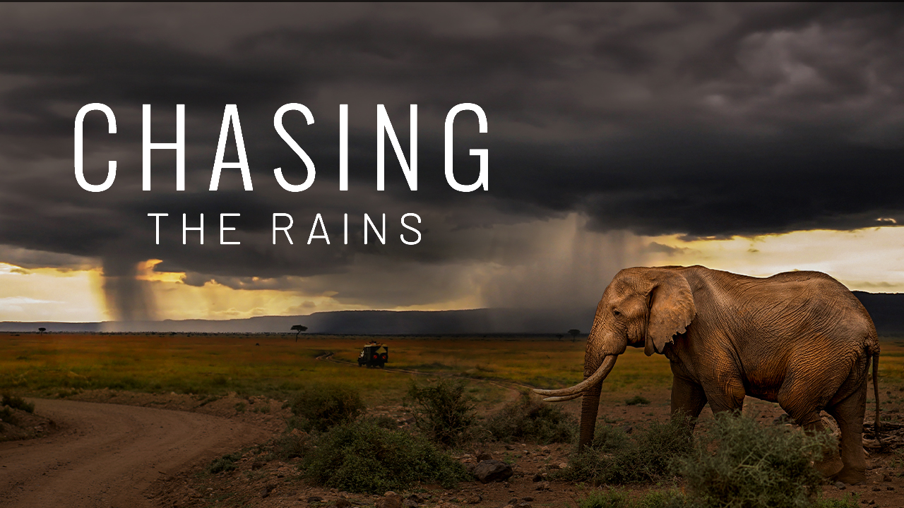 Watch Chasing the Rains Online | Stream Full Episodes