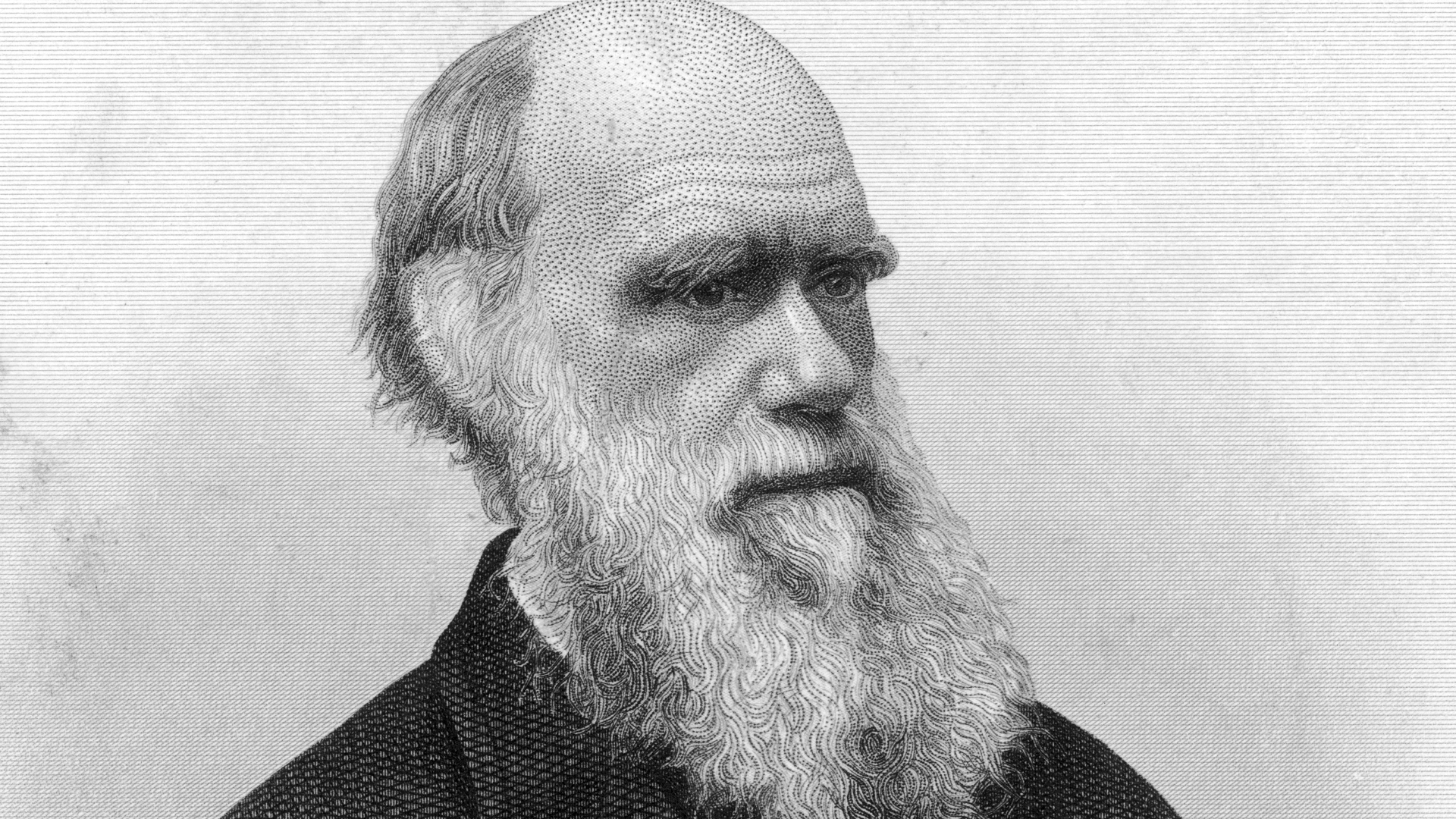 The Rewind: Charles Darwin's Most Memorable Quotes