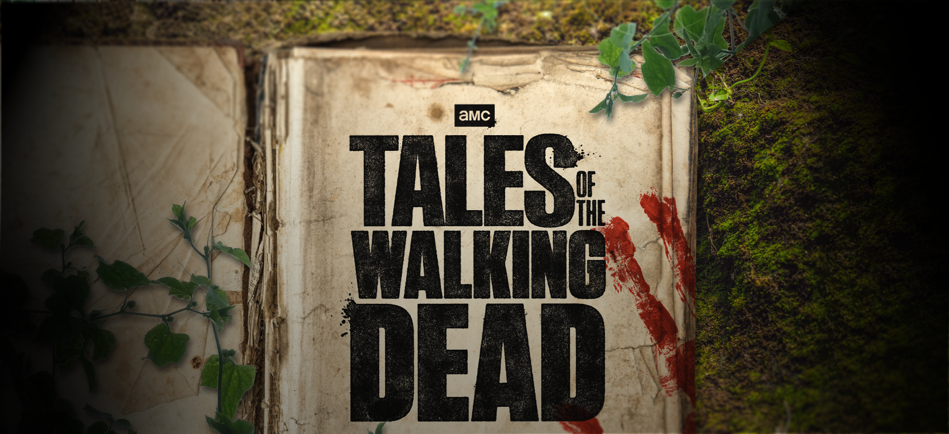AMC Greenlights New Episodic Anthology Series Tales of the Walking Dead